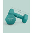 Set of 2 Hexagonal Dumbbells – Steel – Teal – Home Workout Fitness Exercise