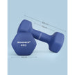 Dumbbells Set – Hexagonal – Blue – 4 kg Each for Home Workout and Fitness Training