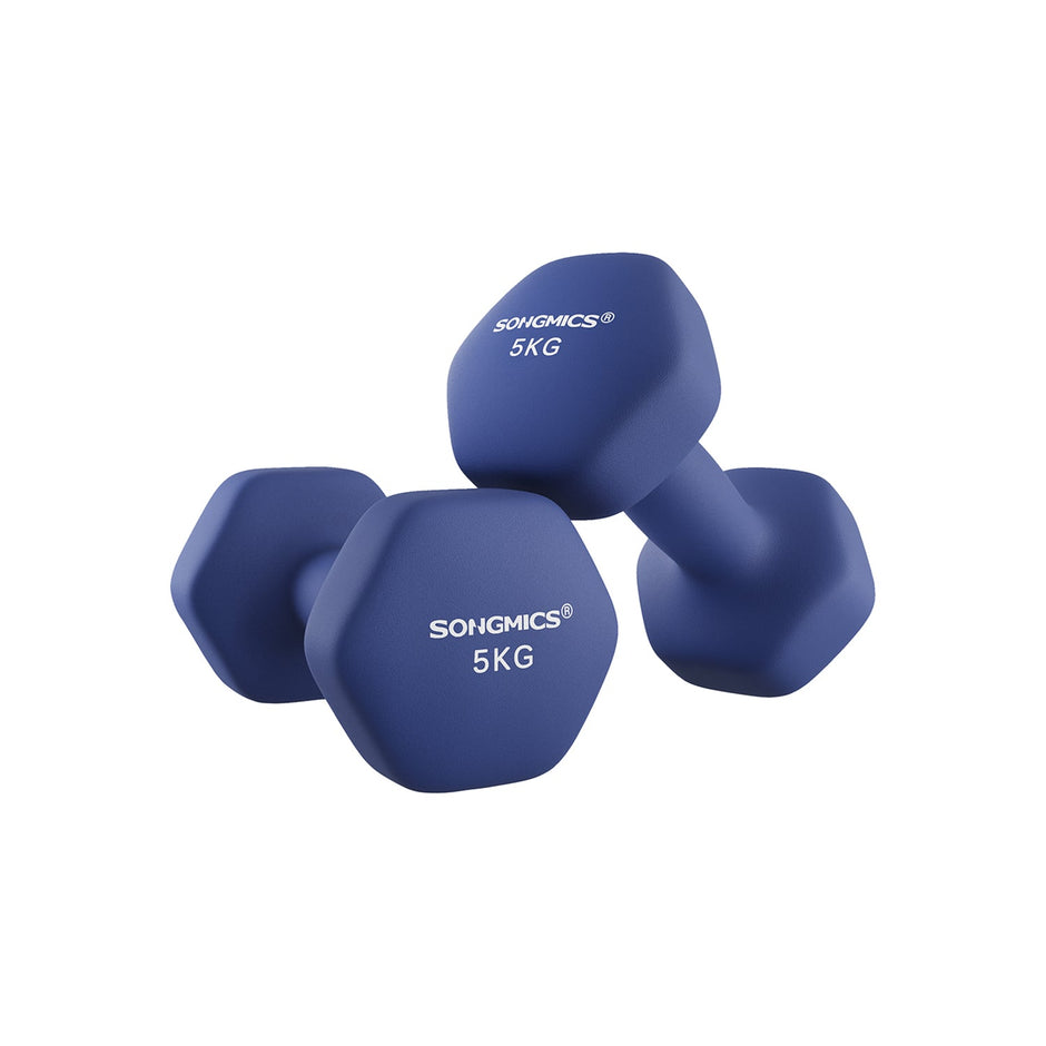Dumbbells Set – Steel – Blue – Hexagonal Design for Home Workout