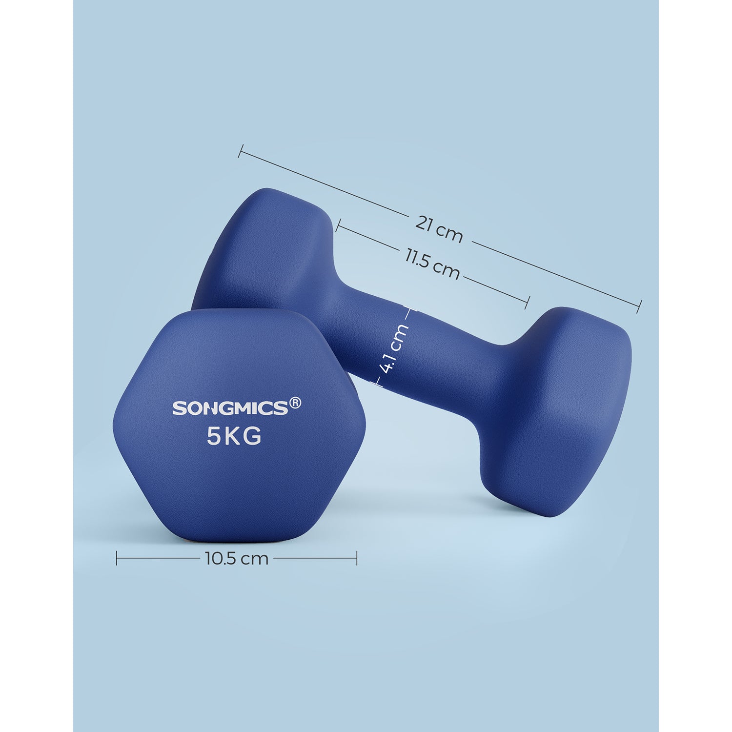 Dumbbells Set – Steel – Blue – Hexagonal Design for Home Workout