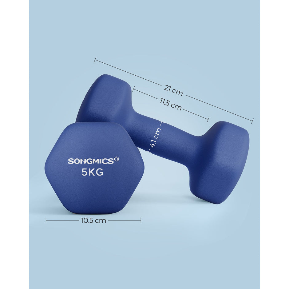 Dumbbells Set – Steel – Blue – Hexagonal Design for Home Workout
