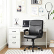 Swivel Office Chair – Mesh – Black – Adjustable Height with Lumbar Support and Thick Padding