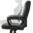 Swivel Office Chair – Mesh – Black – Adjustable Height with Lumbar Support and Thick Padding