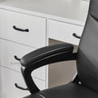 Swivel Office Chair – Mesh – Black – Adjustable Height with Lumbar Support and Thick Padding