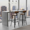 Bar Stools Set of 2 – Heavy-Duty Steel – Rustic Brown and Black – Industrial Design, Bar Height with Backrest