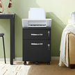 Lockable File Cabinet – Metal – Black – 2 Drawers with Wheels and Adjustable Hanging Rails
