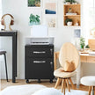Lockable File Cabinet – Metal – Black – 2 Drawers with Wheels and Adjustable Hanging Rails