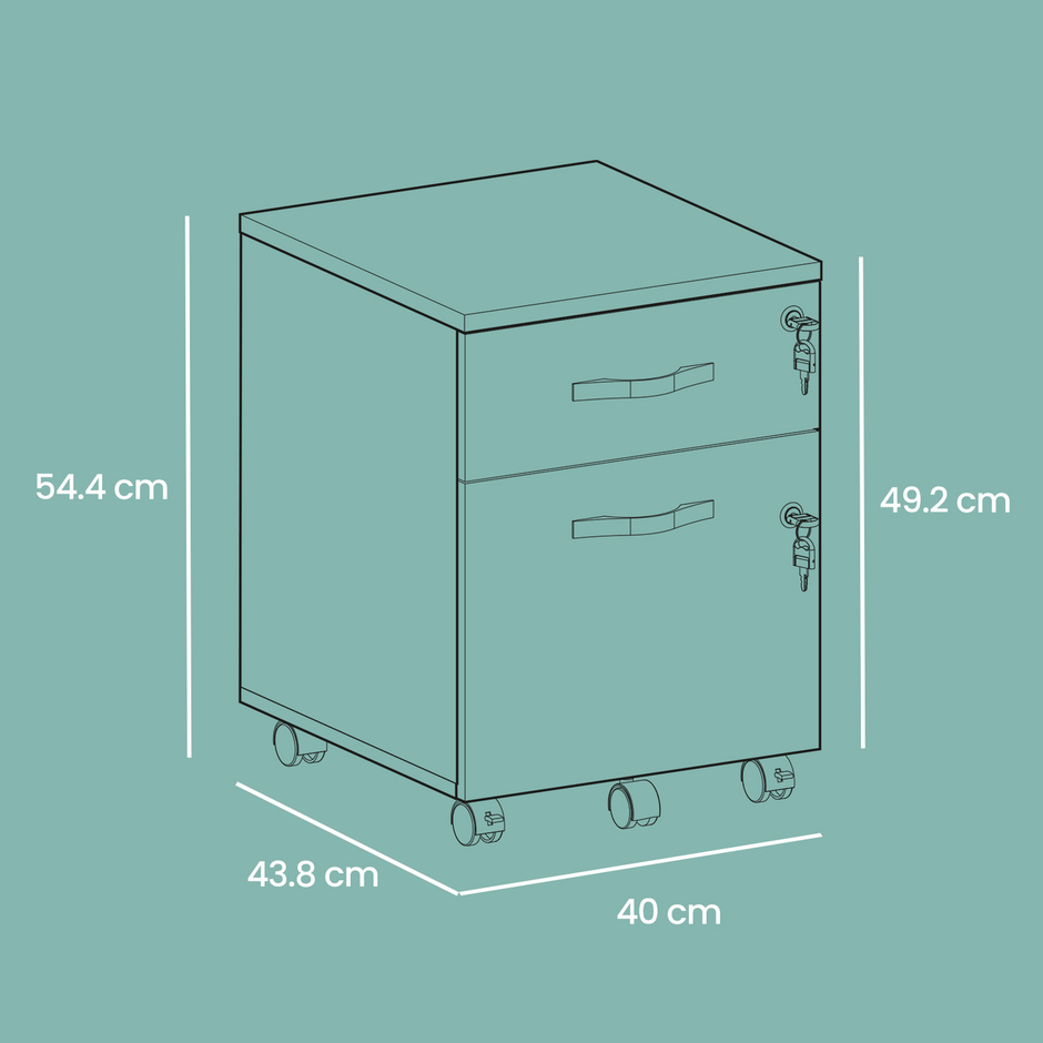 Lockable File Cabinet – Metal – Black – 2 Drawers with Wheels and Adjustable Hanging Rails
