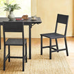 Dining Chairs Set of 2 – Steel – Industrial – Versatile for Dining Room or Kitchen