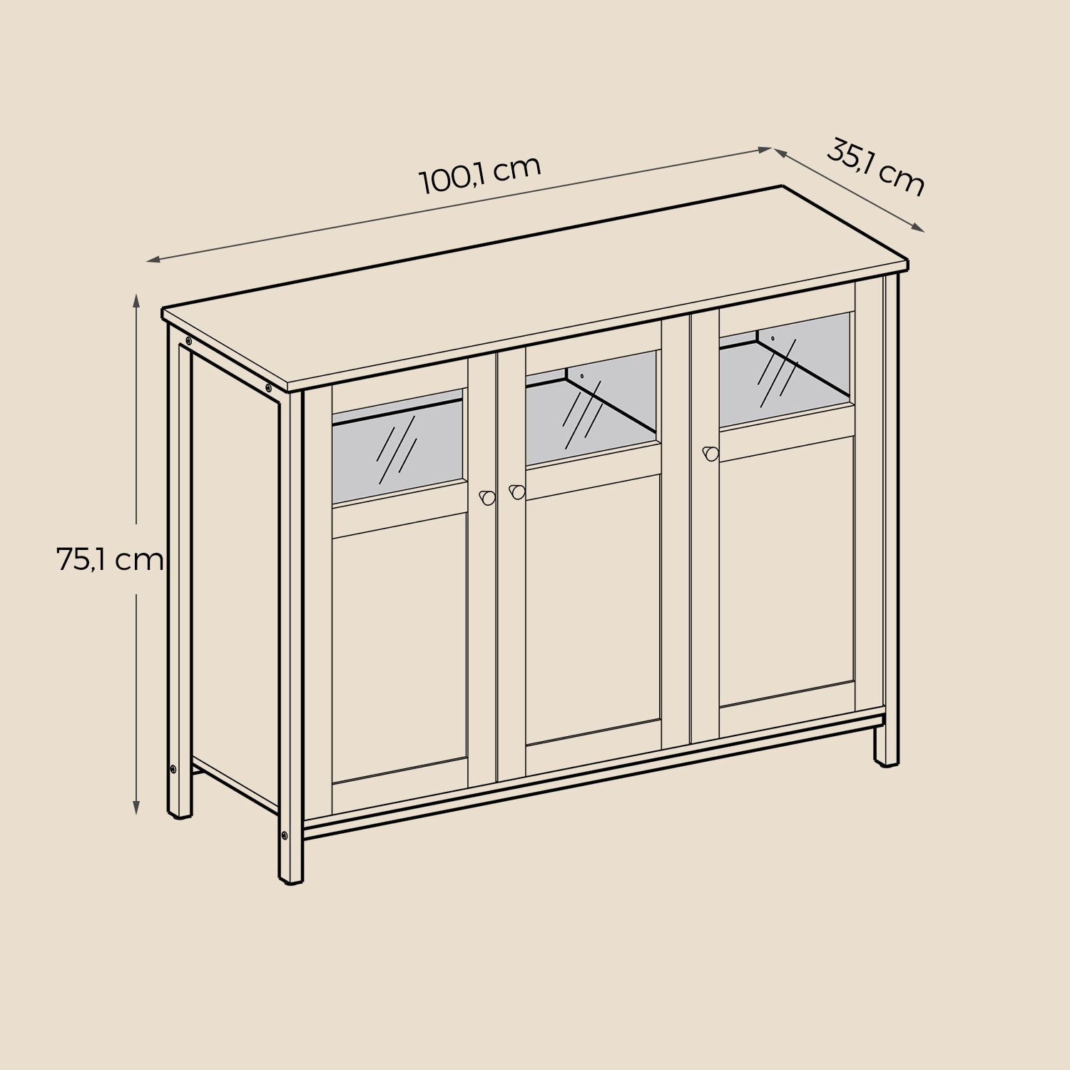 Sideboard – Steel – Rustic Brown and Black – Industrial Style with Glass Doors