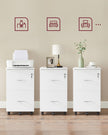 2-Drawer Locking File Cabinet – Steel – Black – Ideal for Home Office Storage