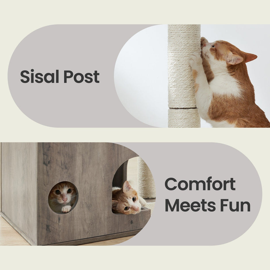 Cat Tree – MDF with Wood Veneer – Greige – Modern Design with Scratching Posts and Washable Cushions