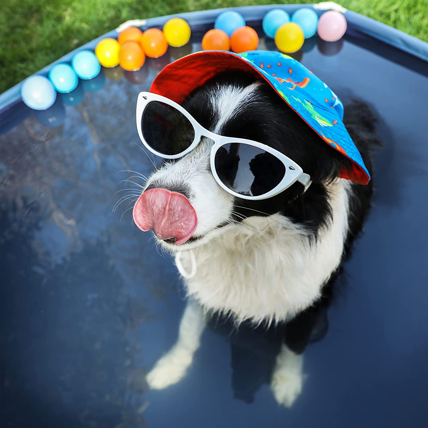 Foldable Pet Swimming Pool – PVC – Blue – Portable and Easy to Store