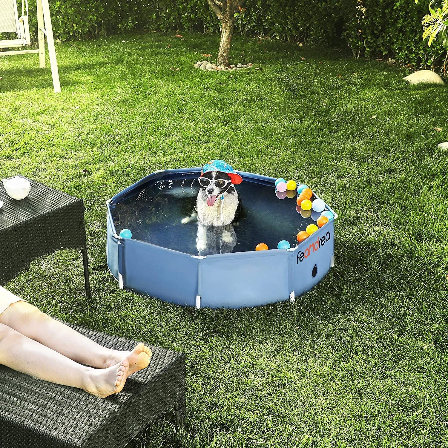 Foldable Pet Swimming Pool – PVC – Blue – Portable and Easy to Store