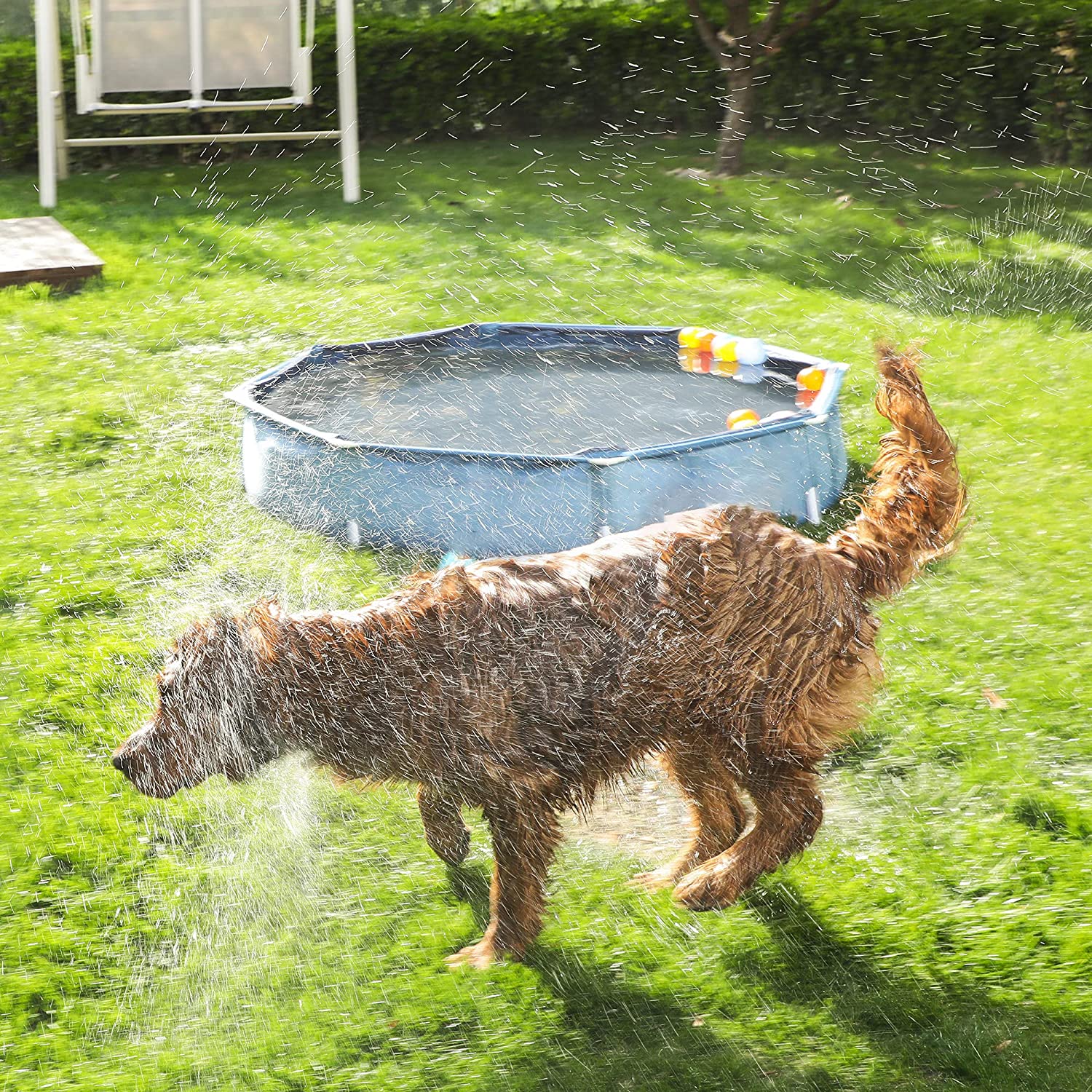 Portable Pet Swimming Pool – Foldable – Blue – Convenient Bathing Solution