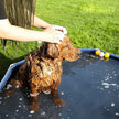 Collapsible Pet Bath Tub – PVC – Blue – Foldable Design