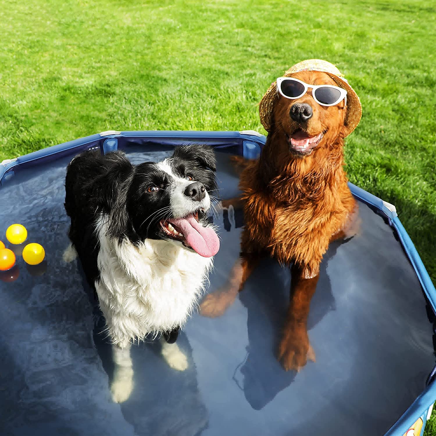 Collapsible Pet Bath Tub – PVC – Blue – Foldable Design