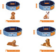 Collapsible Pet Bath Tub – PVC – Blue – Foldable Design