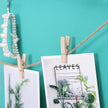 Wall Grid Photo Panel – Metal Mesh – Rose Gold – Set of 2 with S Hooks and Clips